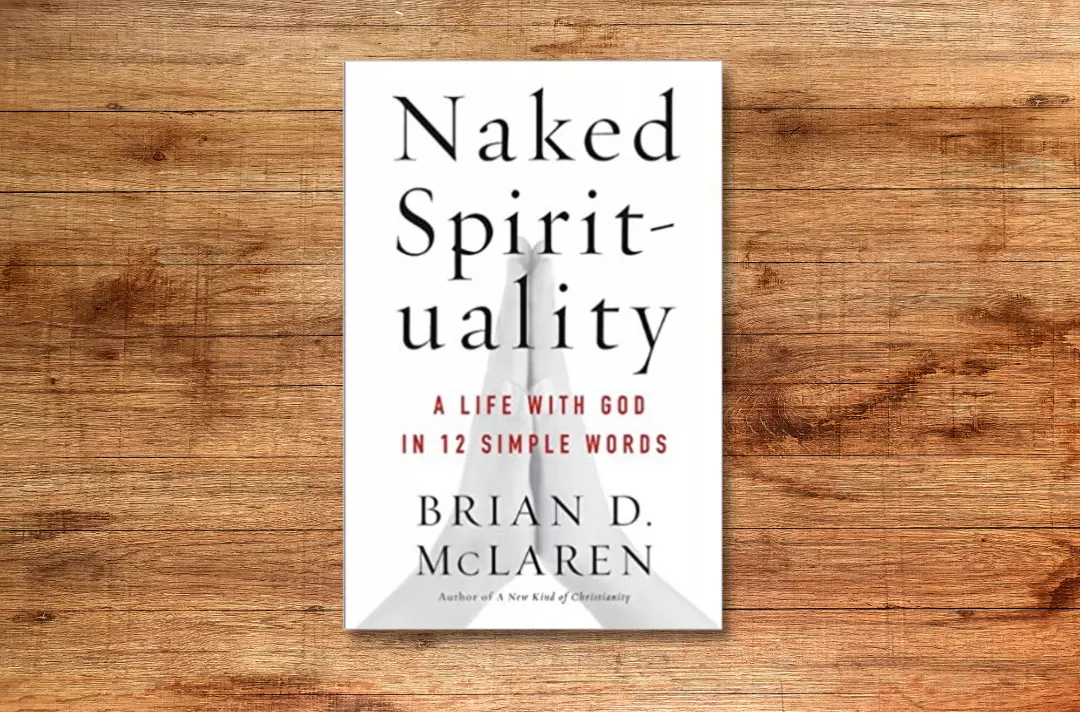 Naked Spirituality by Brian D. McLaren - book cover