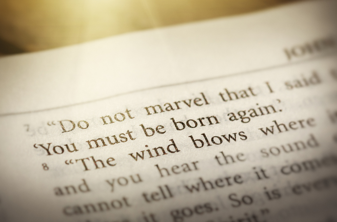 A Bible open at John 3 with the words 'you must be born again' highlighted