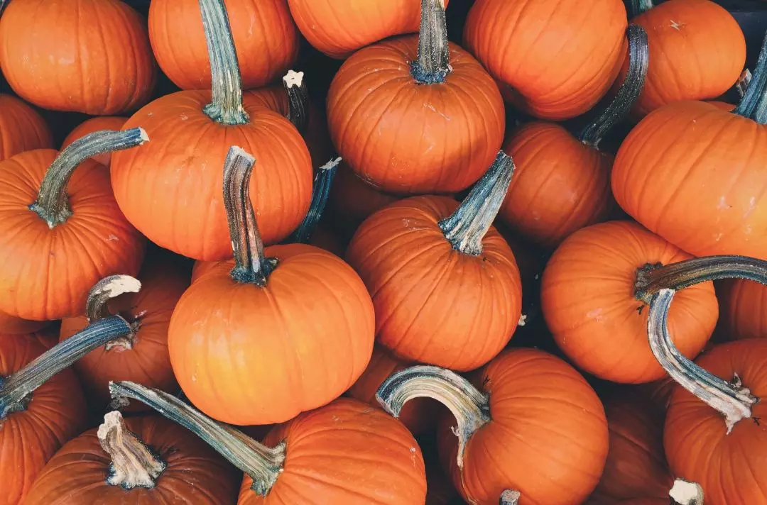 A photo of a pile of pumpkins