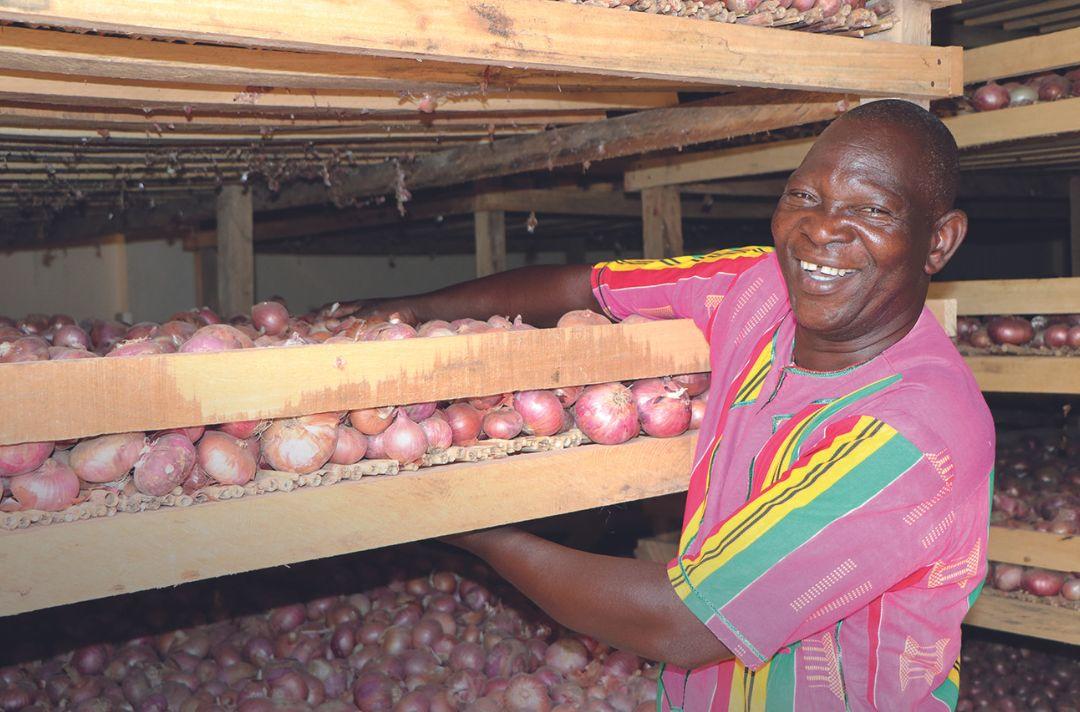 A photo of Salomon with hundreds of onions stored in wooden shelving